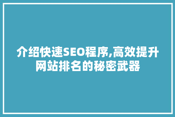 介绍快速SEO程序,高效提升网站排名的秘密武器