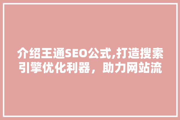 介绍王通SEO公式,打造搜索引擎优化利器，助力网站流量飙升！