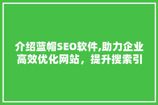 介绍蓝帽SEO软件,助力企业高效优化网站，提升搜索引擎排名