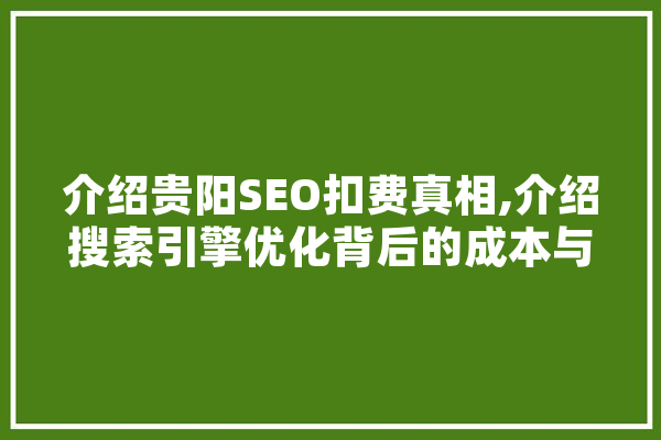 介绍贵阳SEO扣费真相,介绍搜索引擎优化背后的成本与价值