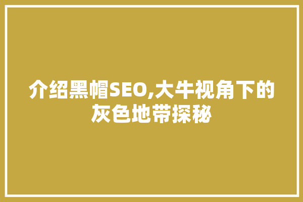 介绍黑帽SEO,大牛视角下的灰色地带探秘