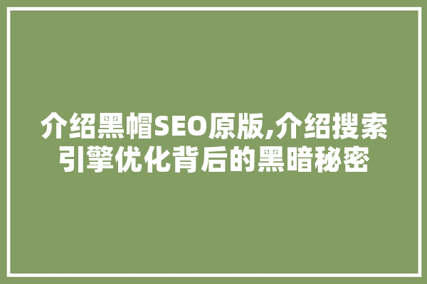 介绍黑帽SEO原版,介绍搜索引擎优化背后的黑暗秘密