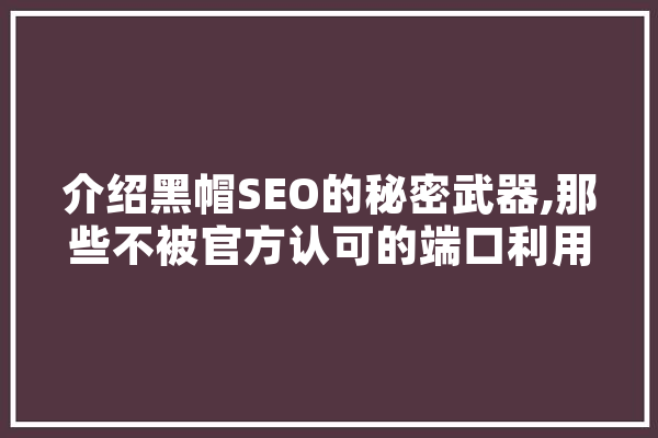 介绍黑帽SEO的秘密武器,那些不被官方认可的端口利用步骤