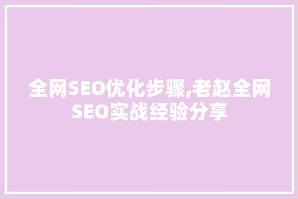 全网SEO优化步骤,老赵全网SEO实战经验分享 计算机