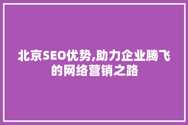 北京SEO优势,助力企业腾飞的网络营销之路