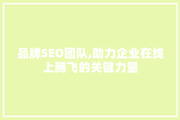 品牌SEO团队,助力企业在线上腾飞的关键力量