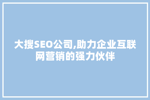 大搜SEO公司,助力企业互联网营销的强力伙伴
