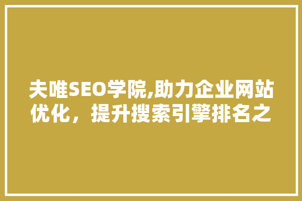 夫唯SEO学院,助力企业网站优化，提升搜索引擎排名之路 文字写作