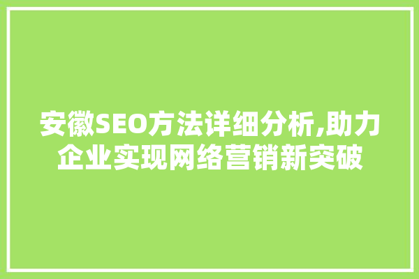安徽SEO方法详细分析,助力企业实现网络营销新突破 计算机