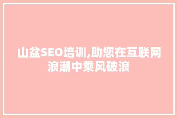 山盆SEO培训,助您在互联网浪潮中乘风破浪