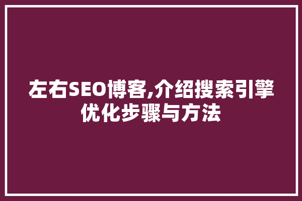 左右SEO博客,介绍搜索引擎优化步骤与方法