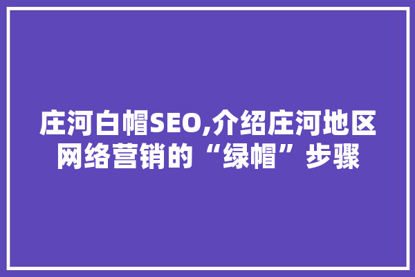庄河白帽SEO,介绍庄河地区网络营销的“绿帽”步骤 绘影字幕