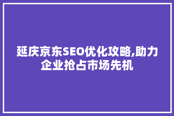 延庆京东SEO优化攻略,助力企业抢占市场先机