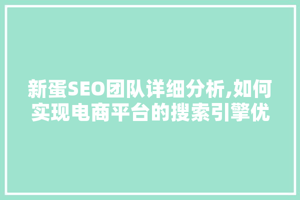 新蛋SEO团队详细分析,如何实现电商平台的搜索引擎优化 计算机