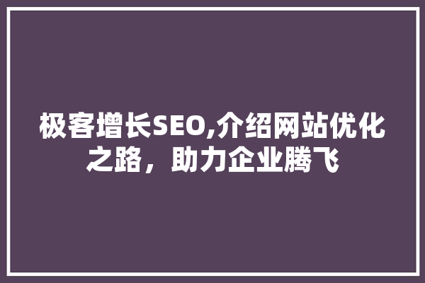 极客增长SEO,介绍网站优化之路，助力企业腾飞