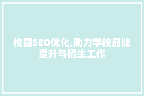 校园SEO优化,助力学校品牌提升与招生工作