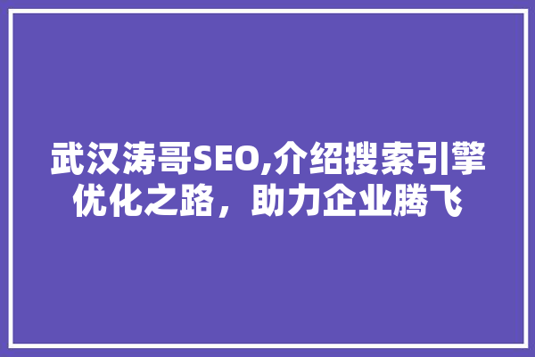 武汉涛哥SEO,介绍搜索引擎优化之路，助力企业腾飞