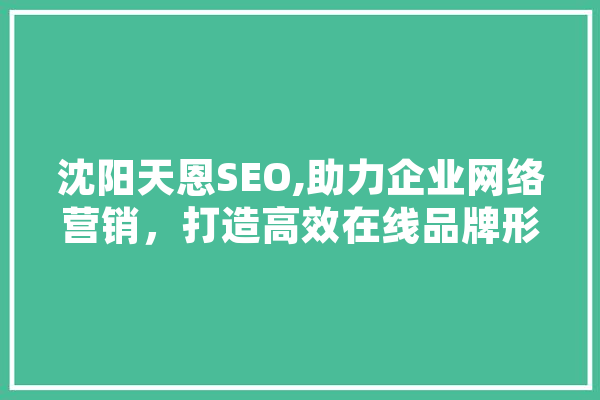沈阳天恩SEO,助力企业网络营销，打造高效在线品牌形象 智能写作