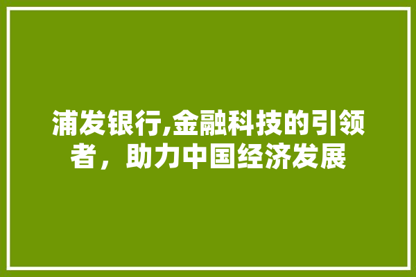 浦发银行,金融科技的引领者，助力中国经济发展