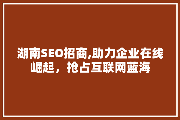 湖南SEO招商,助力企业在线崛起，抢占互联网蓝海