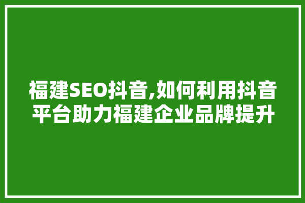 福建SEO抖音,如何利用抖音平台助力福建企业品牌提升