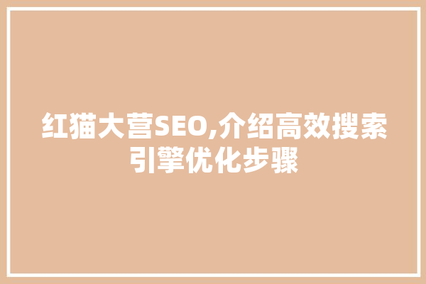红猫大营SEO,介绍高效搜索引擎优化步骤