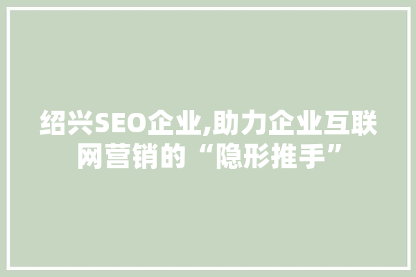 绍兴SEO企业,助力企业互联网营销的“隐形推手”