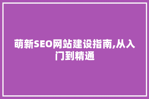 萌新SEO网站建设指南,从入门到精通
