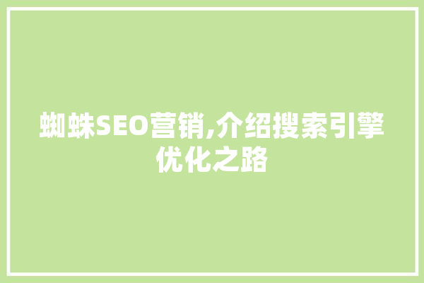 蜘蛛SEO营销,介绍搜索引擎优化之路