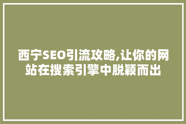 西宁SEO引流攻略,让你的网站在搜索引擎中脱颖而出