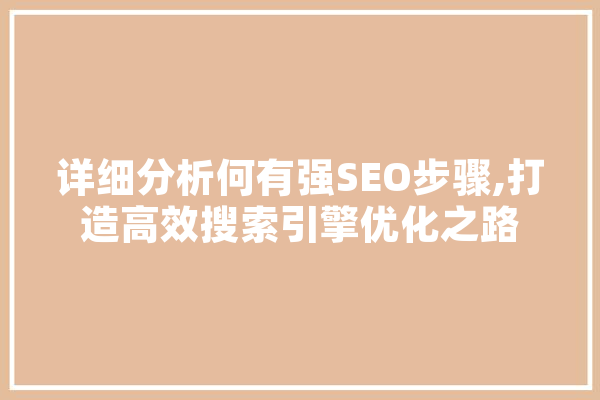 详细分析何有强SEO步骤,打造高效搜索引擎优化之路