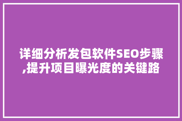 详细分析发包软件SEO步骤,提升项目曝光度的关键路径
