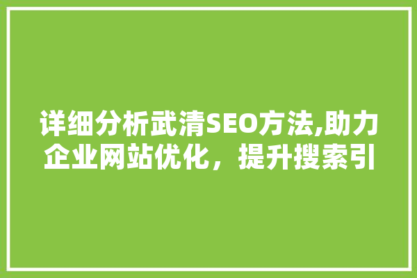 详细分析武清SEO方法,助力企业网站优化，提升搜索引擎排名
