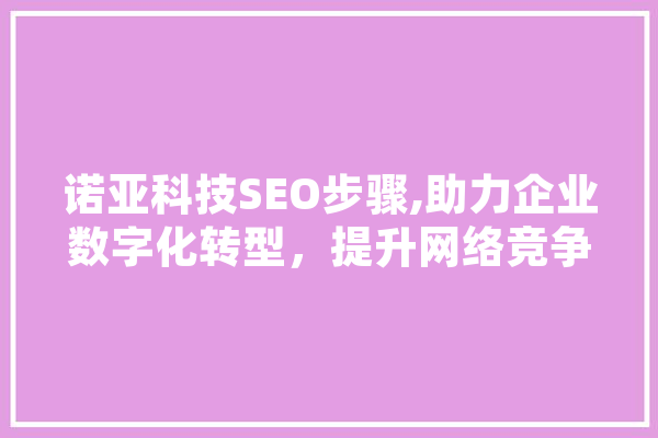 诺亚科技SEO步骤,助力企业数字化转型，提升网络竞争力