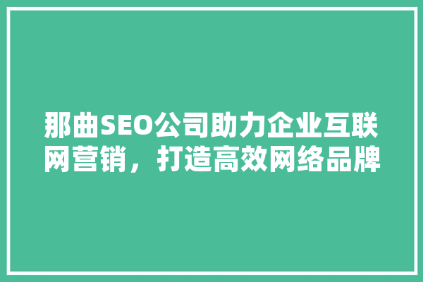 那曲SEO公司助力企业互联网营销，打造高效网络品牌形象