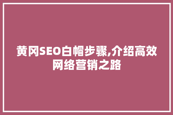 黄冈SEO白帽步骤,介绍高效网络营销之路