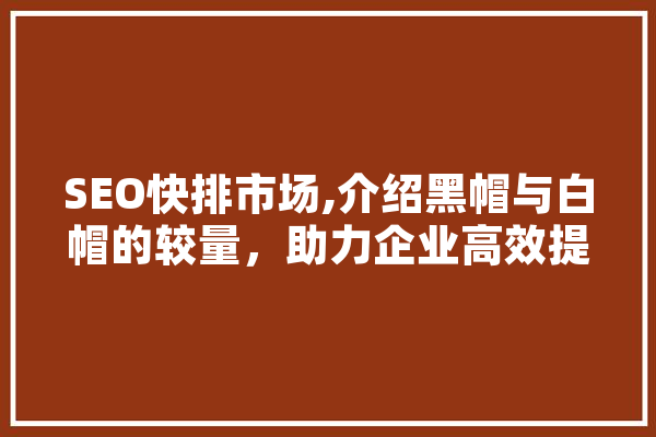 SEO快排市场,介绍黑帽与白帽的较量，助力企业高效提升排名