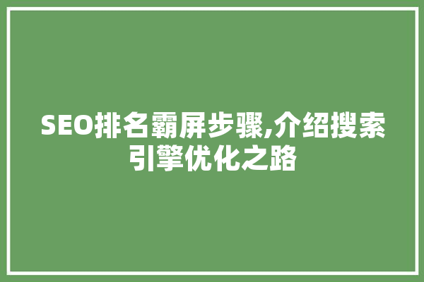 SEO排名霸屏步骤,介绍搜索引擎优化之路
