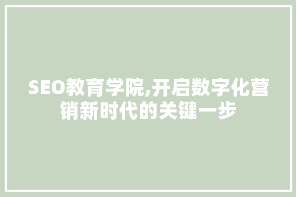 SEO教育学院,开启数字化营销新时代的关键一步