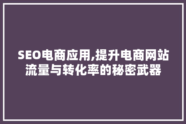 SEO电商应用,提升电商网站流量与转化率的秘密武器