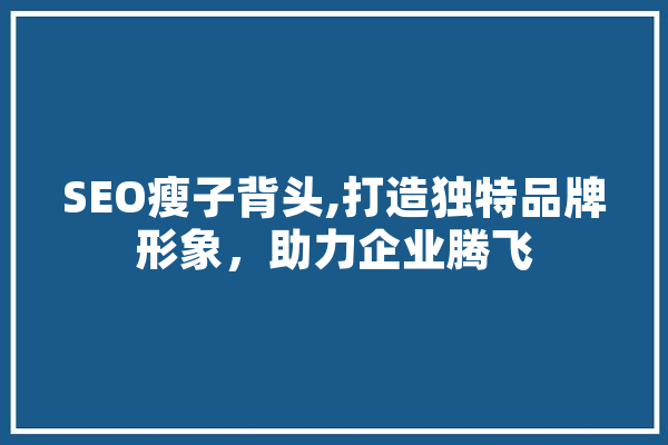 SEO瘦子背头,打造独特品牌形象，助力企业腾飞