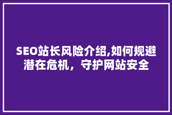 SEO站长风险介绍,如何规避潜在危机，守护网站安全