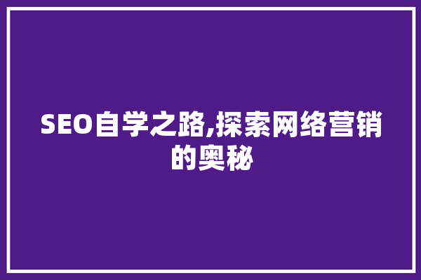 SEO自学之路,探索网络营销的奥秘