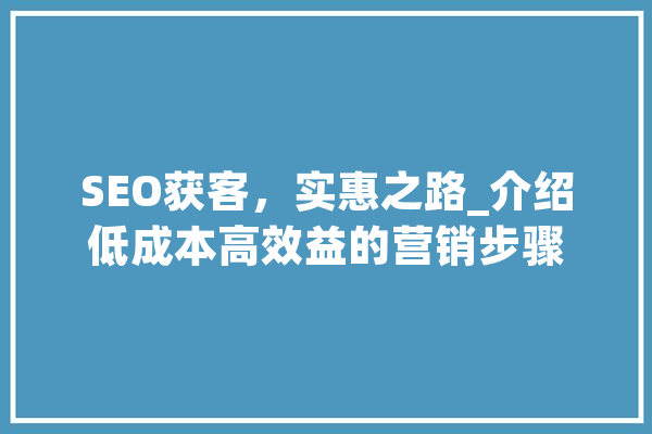 SEO获客，实惠之路_介绍低成本高效益的营销步骤