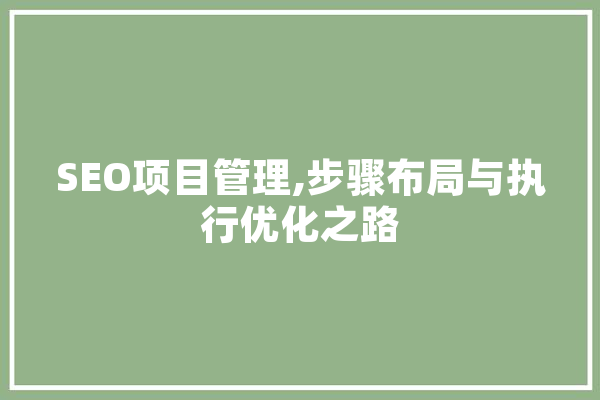 SEO项目管理,步骤布局与执行优化之路