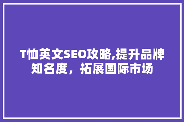 T恤英文SEO攻略,提升品牌知名度，拓展国际市场