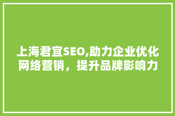 上海君宜SEO,助力企业优化网络营销，提升品牌影响力