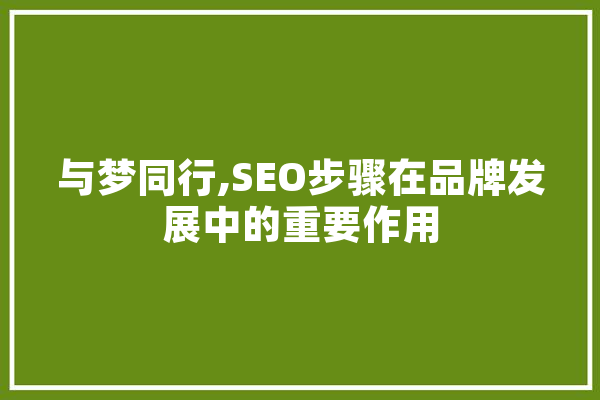 与梦同行,SEO步骤在品牌发展中的重要作用