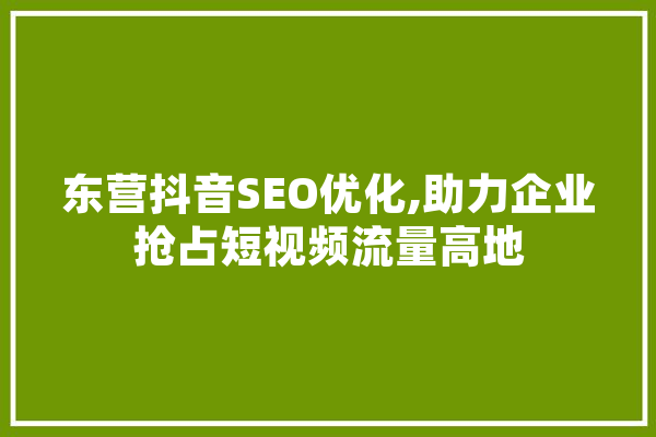东营抖音SEO优化,助力企业抢占短视频流量高地