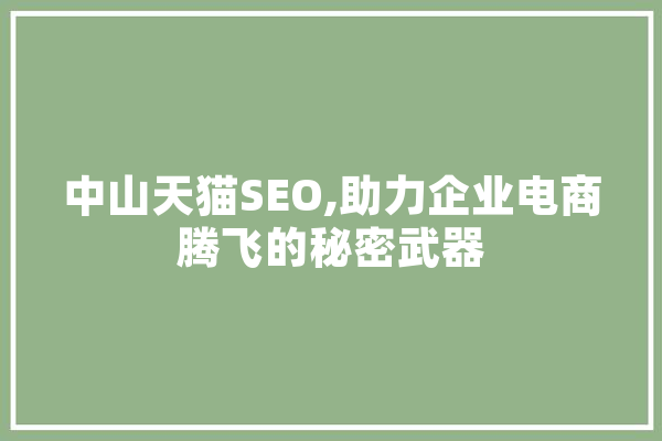 中山天猫SEO,助力企业电商腾飞的秘密武器